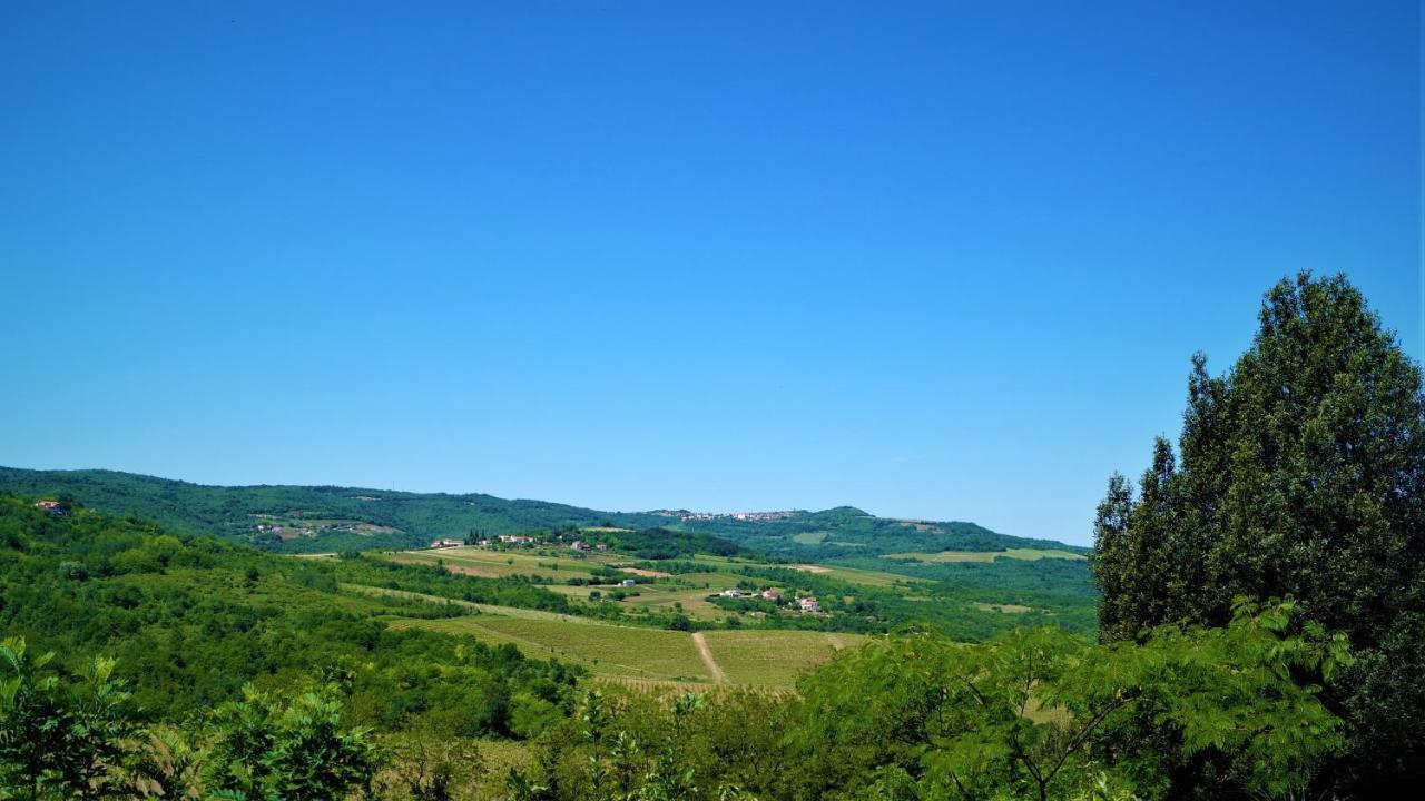 Apartments Garden Motovun Bagian luar foto