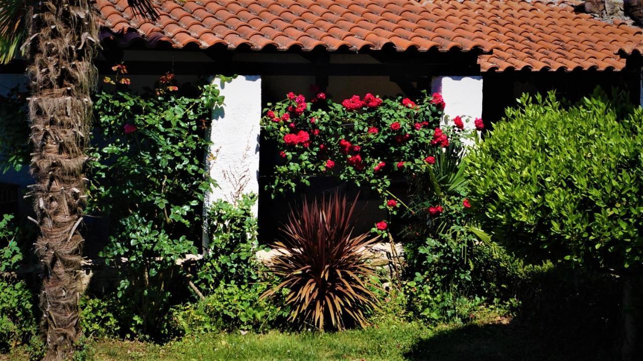Apartments Garden Motovun Bagian luar foto